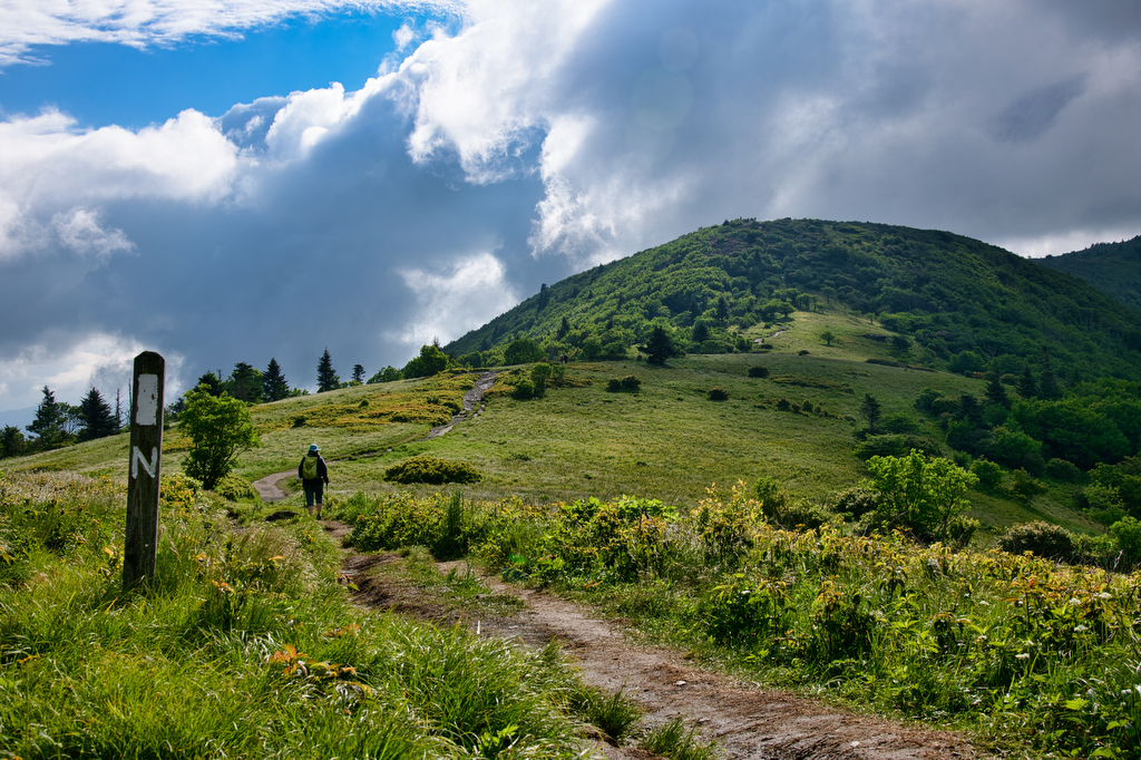 Hiker on the Appalachian Trail across grassy bald toward a green summit