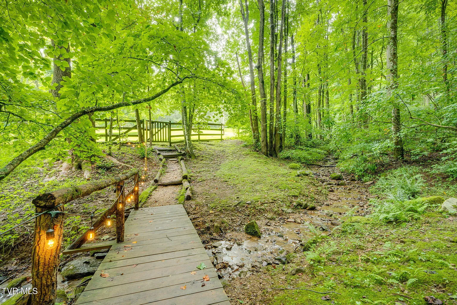 Wooden footbridge with string lights over mossy creek